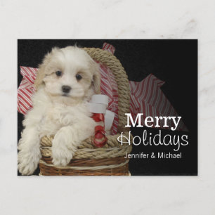 Cristmas Malti-poo子犬かご中に座って シーズンポストカード