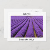 CROATIA – ラベンダーフィールド ポストカード (正面/裏面)