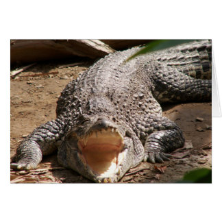 Crocのスマイル