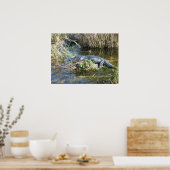 Croc ポスター (キッチン)