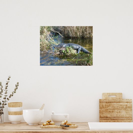 Croc ポスター (キッチン)