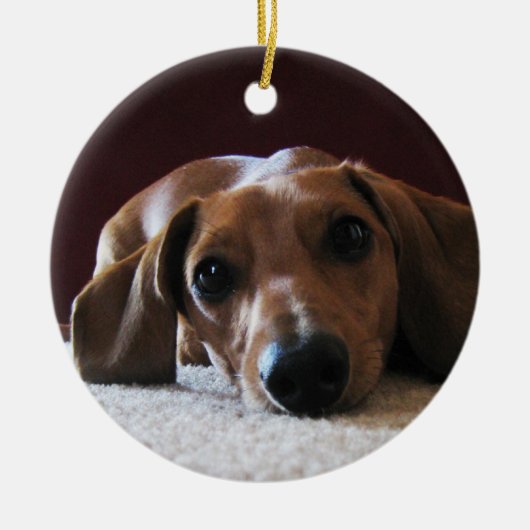 crockettsperfectpic セラミックオーナメント (正面)