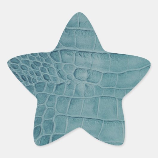 Croco 星シール (正面)