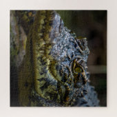 Crocodile ジグソーパズル (横)