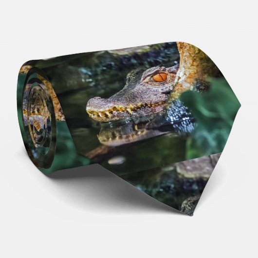 Crocodile ネクタイ (ロール)