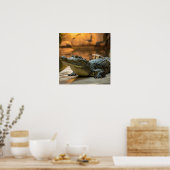 Crocodile ポスター (キッチン)