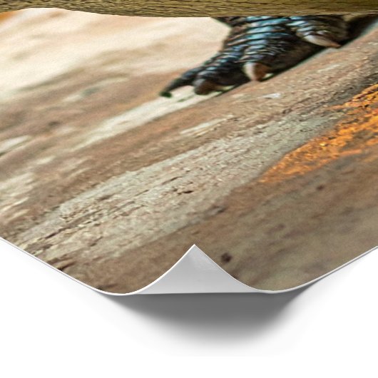 Crocodile ポスター (角)