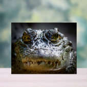 crocodile in water アクリルサイン (ニュートラル)