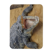 Crocodile with Jaws Wide Openクローズアップ マグネット (縦)