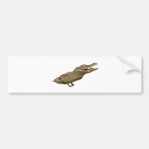 Crocoduck バンパーステッカー