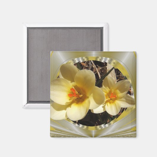 Crocus 20 ～磁石 マグネット (正面/裏面)