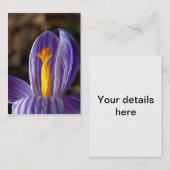 Crocus Blossom – 名刺 (正面/裏面)