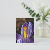 Crocus Blossom – 名刺 (スタンド正面)