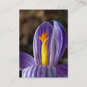 Crocus Blossom – 名刺