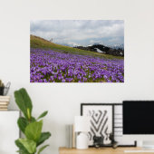 Crocus flowers at Velika Planina, Slovenia ポスター (ホームオフィス)