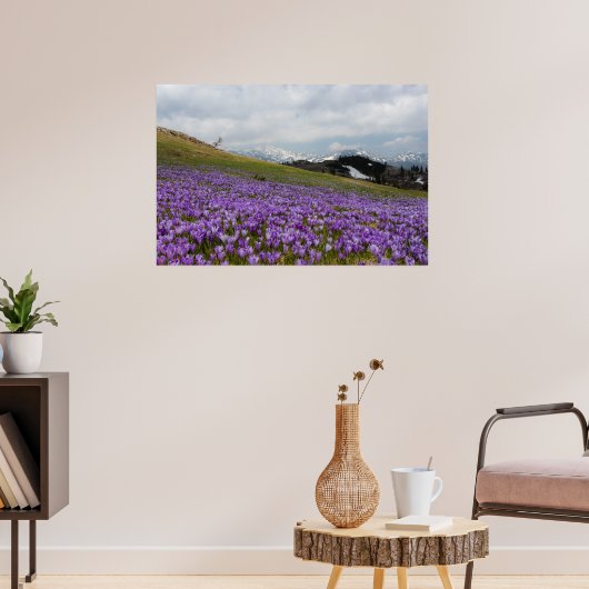 Crocus flowers at Velika Planina, Slovenia ポスター (リビング3)