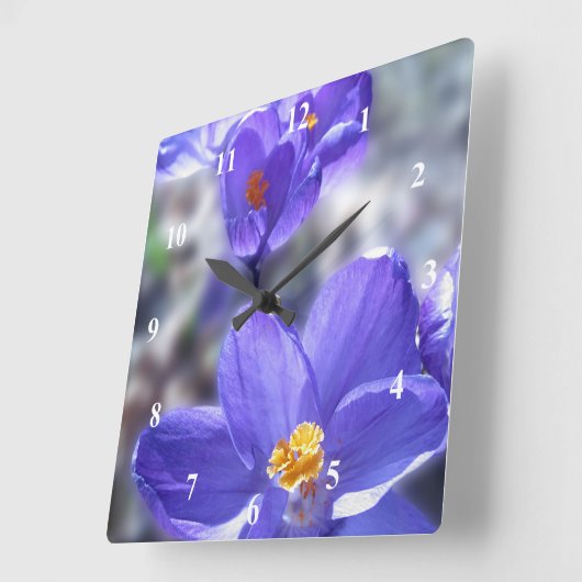 Crocus Purple Flowers写真 スクエア壁時計 (傾斜)