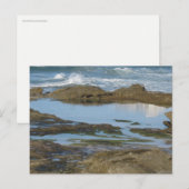 Cronulla オーストラリア オリジナル旅行写真  ポストカード (正面/裏面)