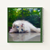 Cross-eyed cat ノートブック (裏面)