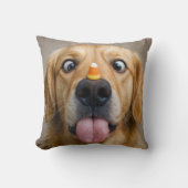 Cross Eyed Golden Retriever With Candy Corn クッション (正面)