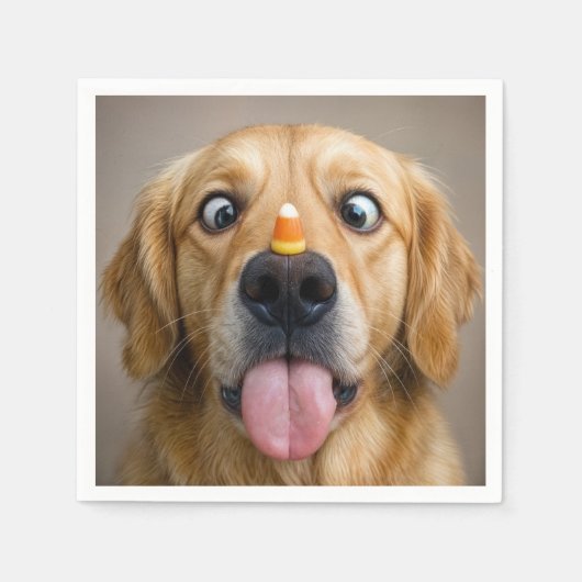 Cross Eyed Golden Retriever With Candy Corn スタンダードカクテルナプキン (正面)
