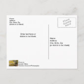 Crossing The Buffalo River Postcard ポストカード (裏面)