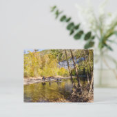 Crossing The Buffalo River Postcard ポストカード (スタンド正面)