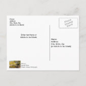 Crossing The Buffalo River Thank you Postcard ポストカード (裏面)