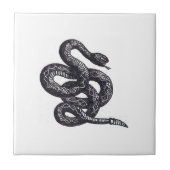 Crotalus Cascavella Snake (Venemous Pit Viper) タイル (正面)