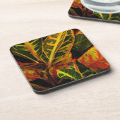 Crotonの葉の抽象芸術 コースター (左側)