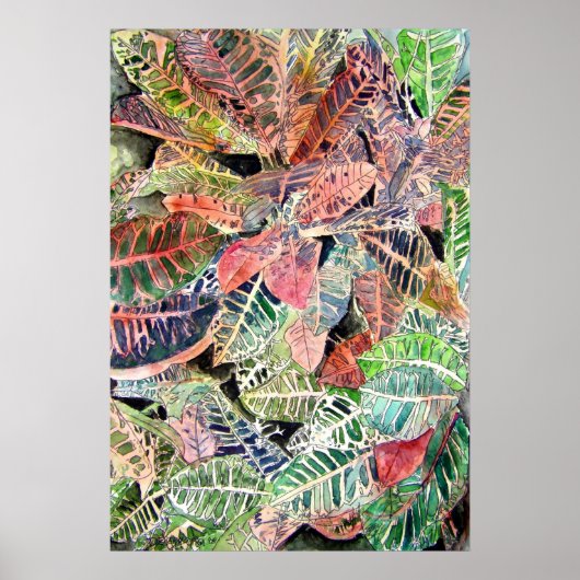 croton_plant_絵画s ポスター (正面)