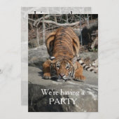 Crouching Tigerカスタマイズ可能招待状 招待状 (正面/裏面)