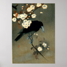 Crow & Blossom by Ohara Koson (1910)