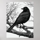 Crow Perched on Bare Winter Branches ポスター (正面)