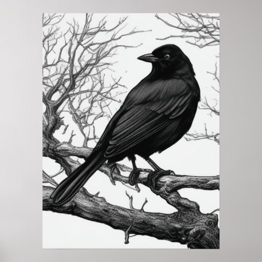 Crow Perched on Bare Winter Branches ポスター (正面)