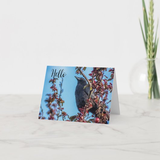 Crow Says Hello  サンキューカード (正面)