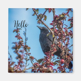 Crow Says Hello  マグネット