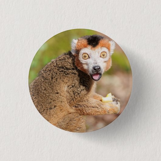 Crown Lemur's Surprince:率直な表情 缶バッジ (正面)