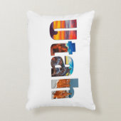 Crowns of Utah アクセントクッション (正面(垂直))