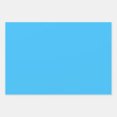 CRSギフトエレガントラッピングシート ラッピングペーパーシート (正面3)