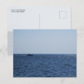 Cruising on Lake St. Clair ポストカード (正面/裏面)