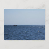 Cruising on Lake St. Clair ポストカード (正面)