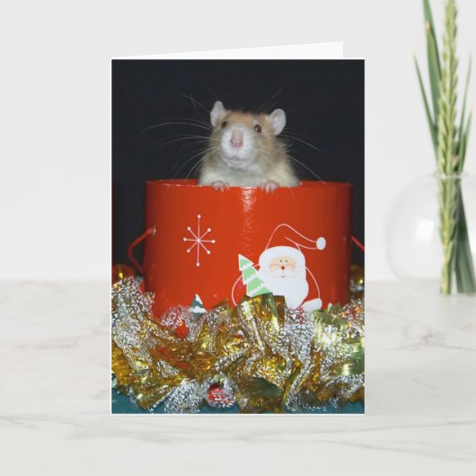 CRW_9063 シーズンカード (正面)