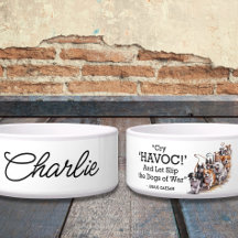 "Cry Havoc"引用文ミニマリスト水のカラードッグボウル