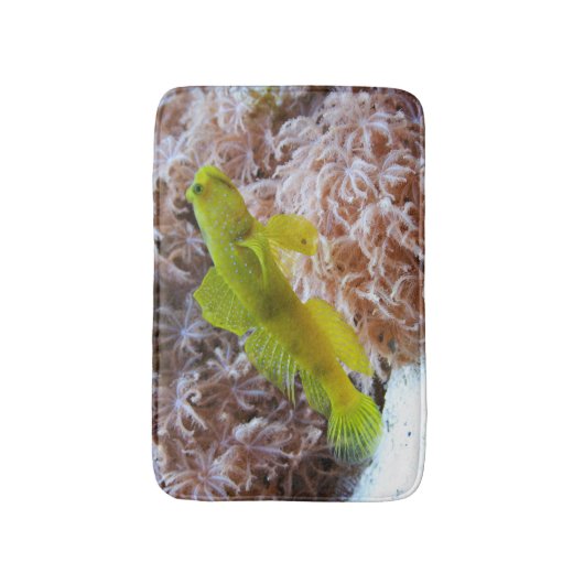 Cryptocentus cinctus バスマット (正面縦)
