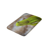 Cryptocentus cinctus バスマット (アングル)