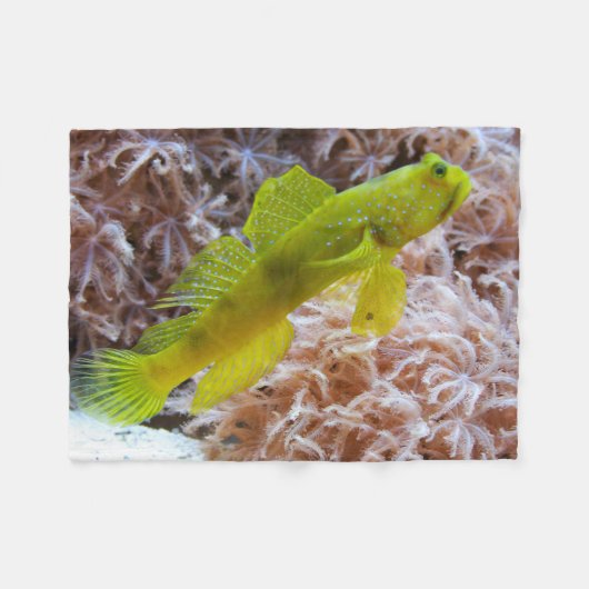 Cryptocentus cinctus フリースブランケット (正面(横))