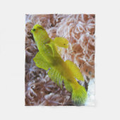 Cryptocentus cinctus フリースブランケット (正面)