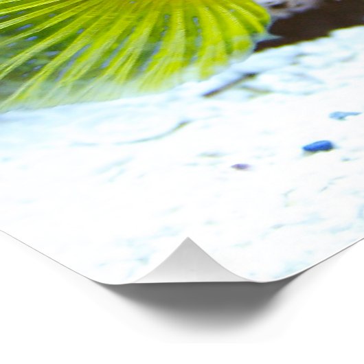 Cryptocentus cinctus ポスター (コーナー)