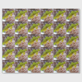 Cryptocentus cinctus ラッピングペーパー (フラット)